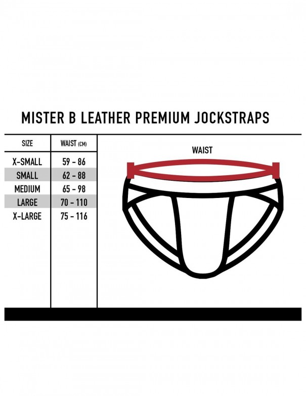 Mister B Leather Premium Jockstrap - Black Grey