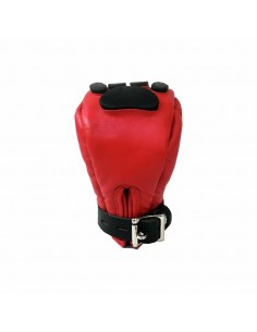 Mister B Leather Puppy Paws 2