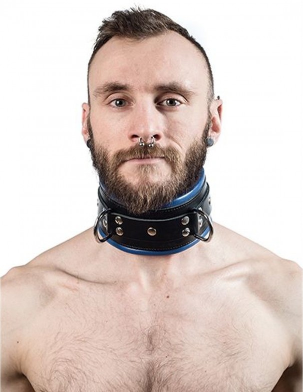 Mister B Leather Slave Collar Blue Padding