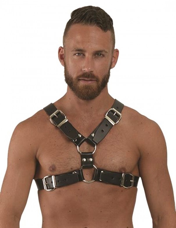 Mister B Leather Y-Front Harness