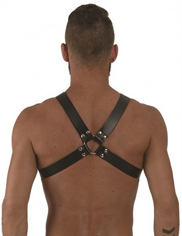 Mister B Leather Y-Front Harness