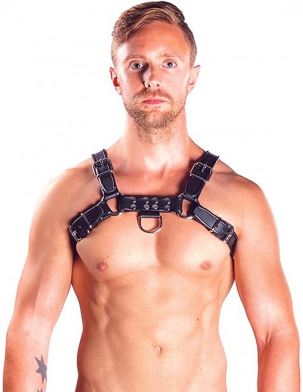Mister B Leather Chest Harness Black-Black