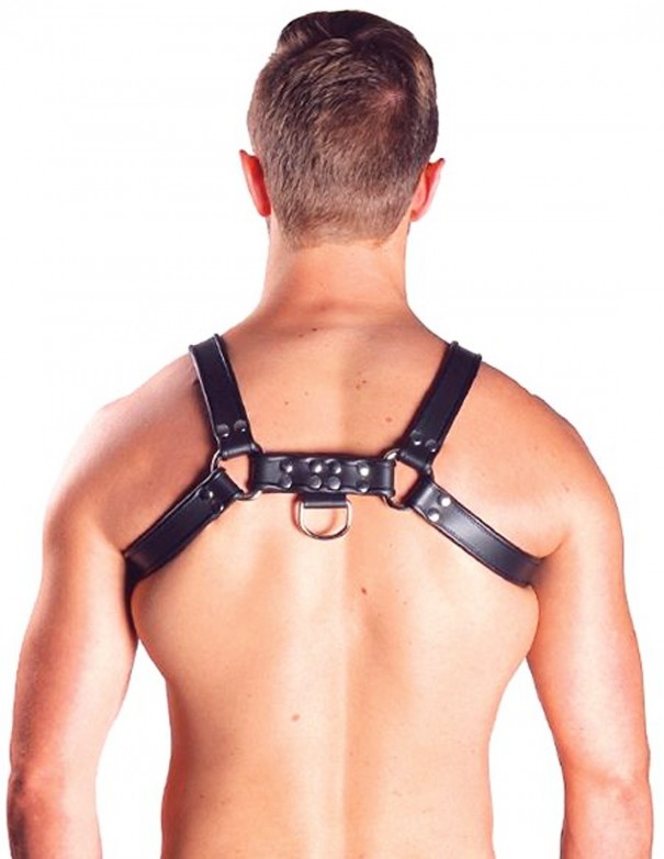 Mister B Leather Chest Harness Black-Black