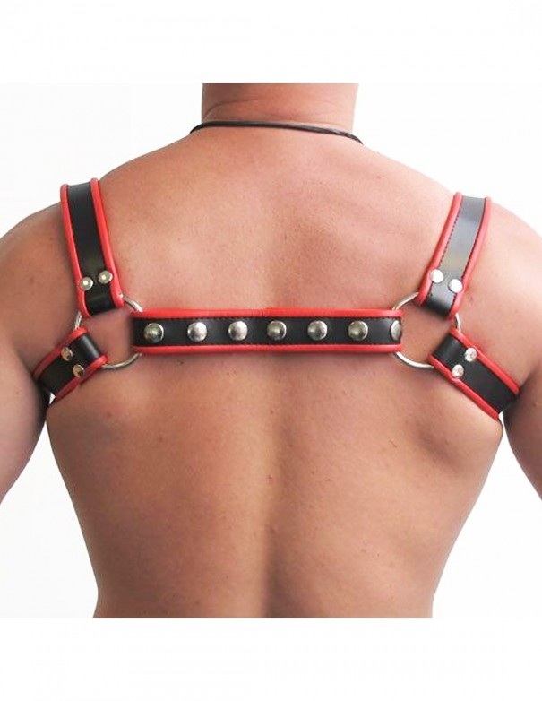 Mister B Leather Halter Harness Black-Red