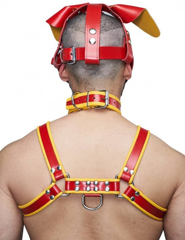 Mister B Leather Floppy Dog Hood Circuit – Red-Yellow