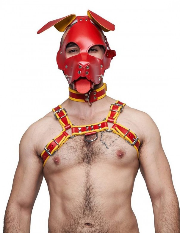 Mister B Leather Floppy Dog Hood Circuit – Red-Yellow