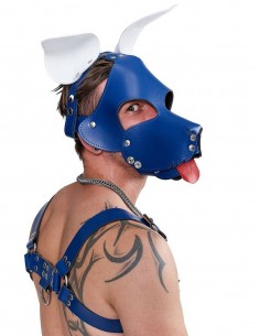 Mister B Leather Shaggy Dog Hood Circuit – Blue-White 2