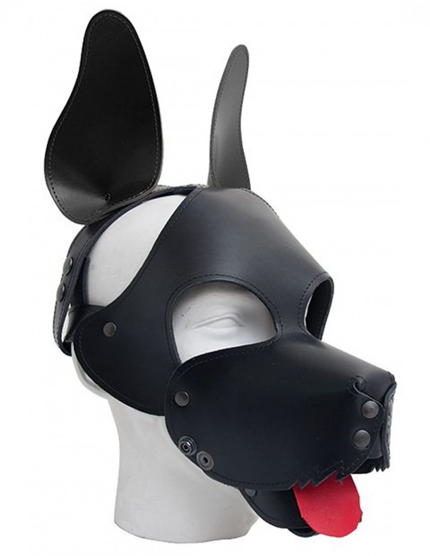 Mister B Shaggy Dog Hood