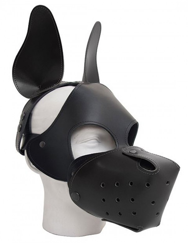 Mister B Shaggy Dog Hood