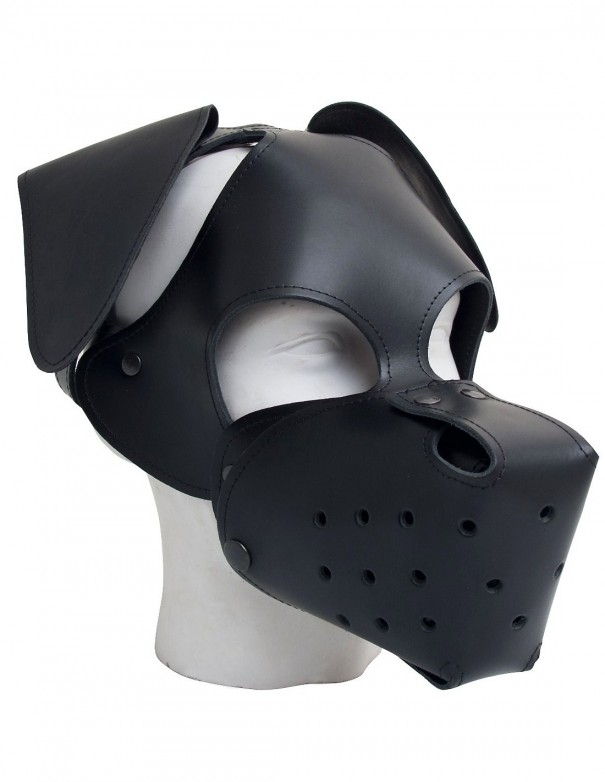 Mister B Floppy Dog Hood