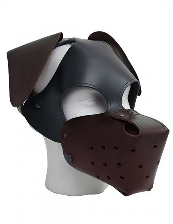 Mister B Floppy Dog Hood