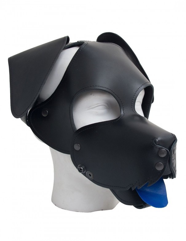 Mister B Floppy Dog Hood