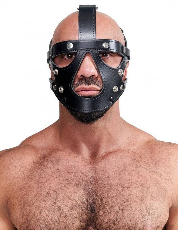 Mister B Leather Face Muzzle Harness