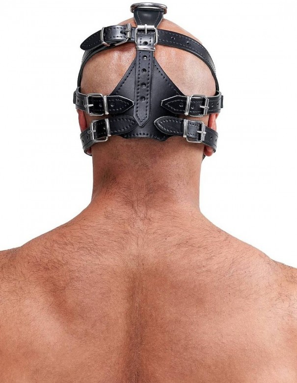 Mister B Leather Face Muzzle Harness