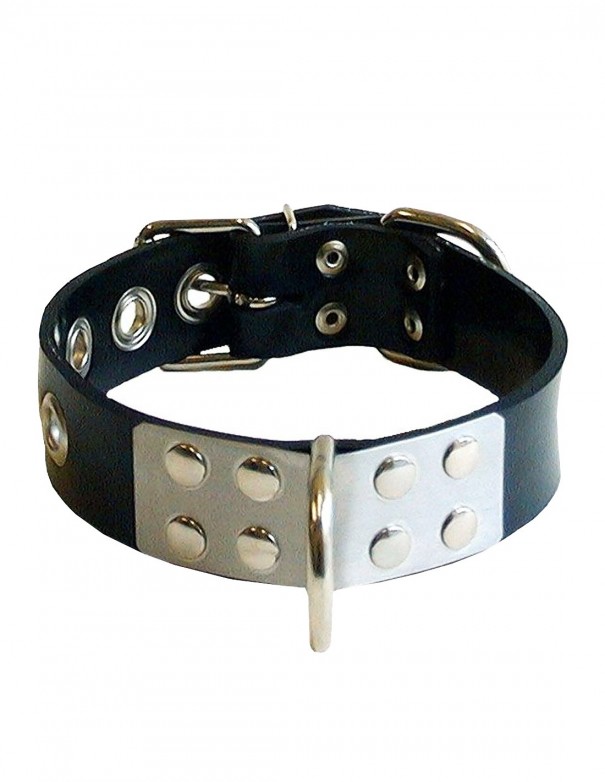 Mister B Rubber Slave Collar