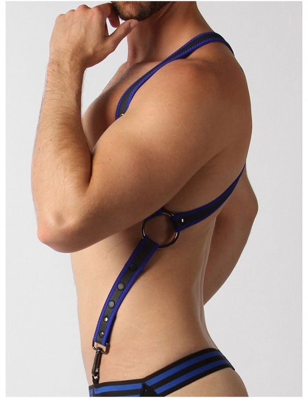 Cellblock 13 Trojan Harness - Blue