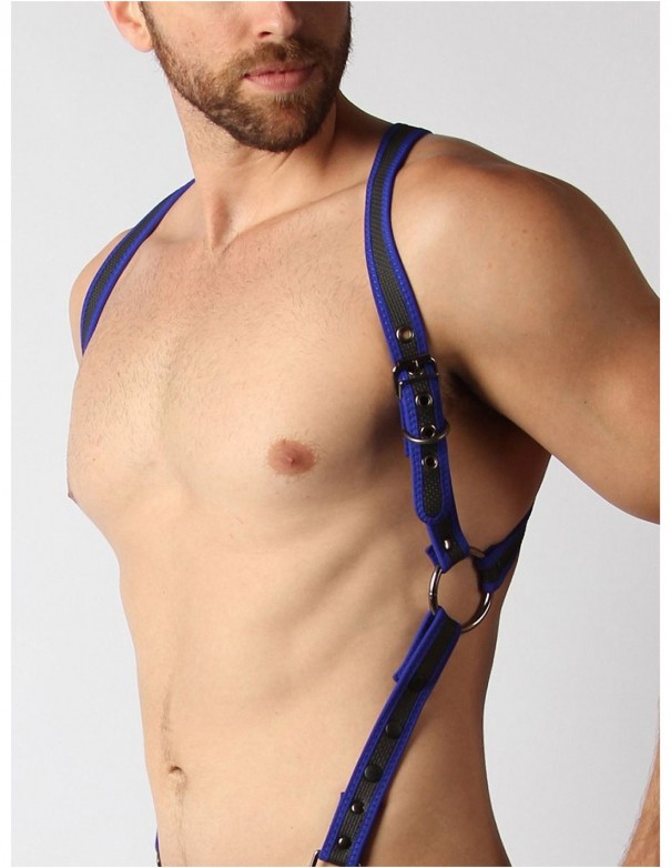 Cellblock 13 Trojan Harness - Blue