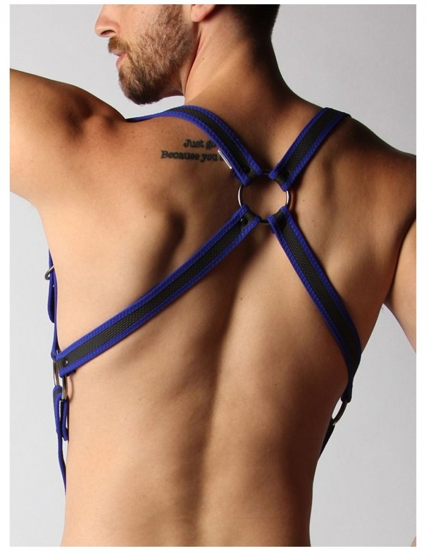 Cellblock 13 Trojan Harness - Blue