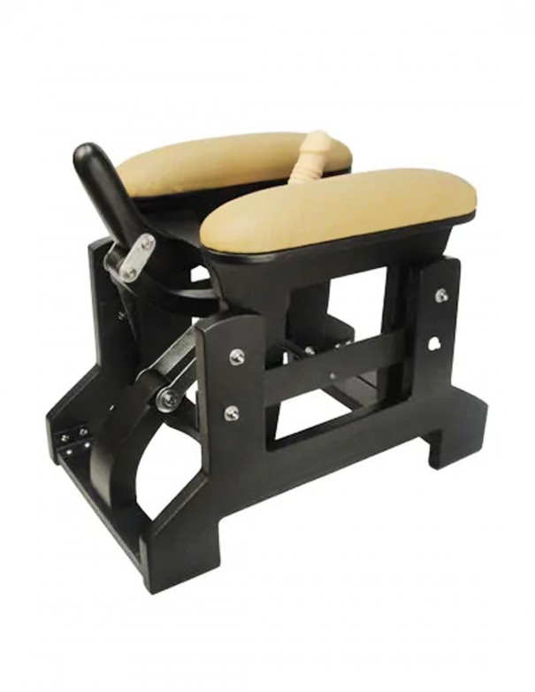 LoveGlider Self Controlled Love Machine