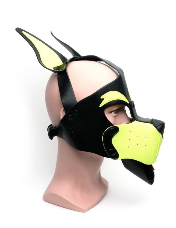 665 Playful Pup Hood Black/Yellow