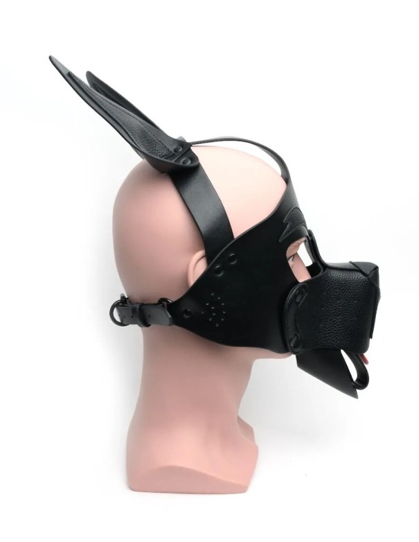 665 Playful Pup Hood All Black
