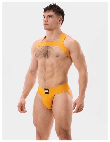 Cotton clothing Barcode Berlin Sergey Basic Jock Yellow