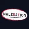 Malesation